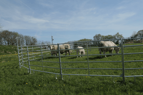 Matériel d'élevage - Cage, parc et couloir de contention - Panel de contention JOURDAIN