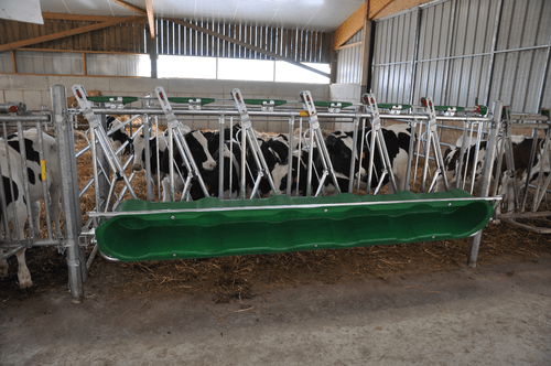 Matériel d'élevage - Cornadis - Cornadis SAFETY veau