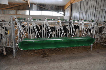 Matériel d'élevage - Cornadis - Cornadis SAFETY veau