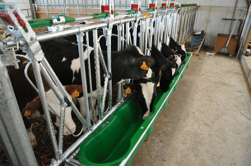 Matériel d'élevage - Cornadis - Cornadis SAFETY veau