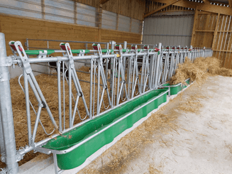 Matériel d'élevage - Cornadis - Cornadis SAFETY veau