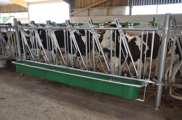 Matériel d'élevage - Cornadis - Cornadis SAFETY veau