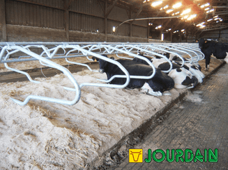 Matériel d'élevage - Logette et libre service - Logettes à veaux JOURDAIN