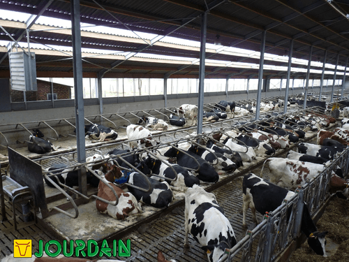 Matériel d'élevage - Logette et libre service - Logettes à veaux JOURDAIN