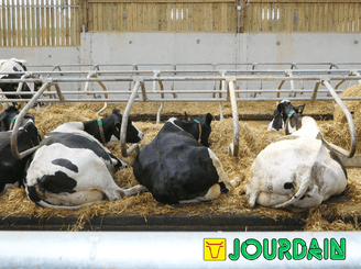 Matériel d'élevage - Logette et libre service - Logettes à veaux JOURDAIN