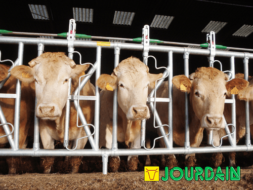 Matériel d'élevage - Cornadis - Cornadis SAFETY IV