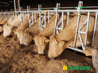 Matériel d'élevage - Cornadis - Cornadis SAFETY IV