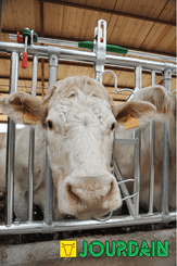 Matériel d'élevage - Cornadis - Cornadis SAFETY IV