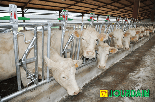 Matériel d'élevage - Cornadis - Cornadis SAFETY IV