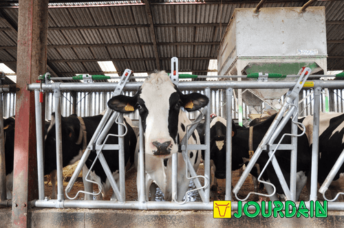 Matériel d'élevage - Cornadis - Cornadis SAFETY IV