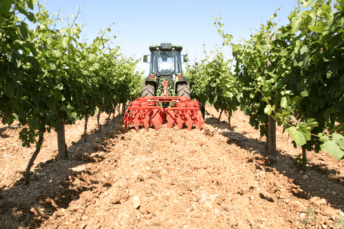 Travail du sol - Viti arbo - Cover crop porté vigne PXVI - PXVI E