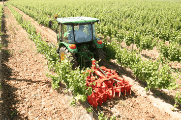Travail du sol - Viti arbo - Cover crop porté vigne PXVI - PXVI E
