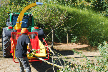 Matériel forestier - Broyeurs de végétaux - Broyeur de branches sur tracteur VEGETOR T et H