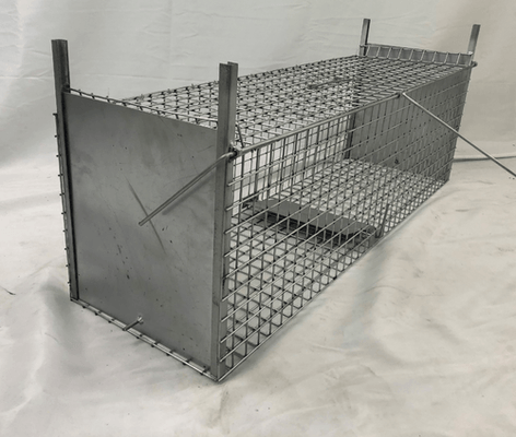 Lutte anti-nuisibles - Pièges - Piège à nuisibles