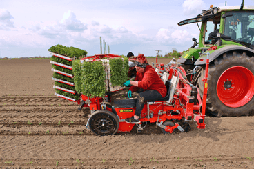 Semis - Planteuses - Planteuse repiqueuse
