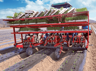 Semis - Planteuses - Planteuse repiqueuse