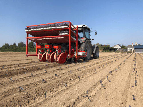 Semis - Planteuses - Planteuse repiqueuse