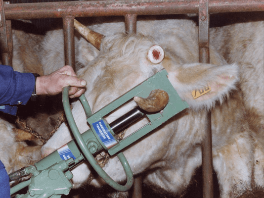 Matériel d'élevage - Cage, parc et couloir de contention - Ecorneuse à bovins hydraulique