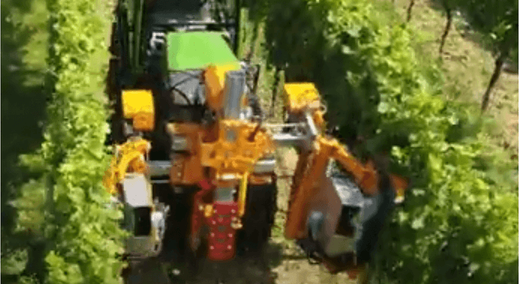 Entretien - Taille viti-arbo - Effeuilleuse EB490 BINGER