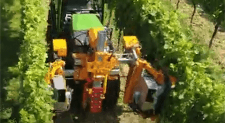 Entretien - Taille viti-arbo - Effeuilleuse EB490 BINGER