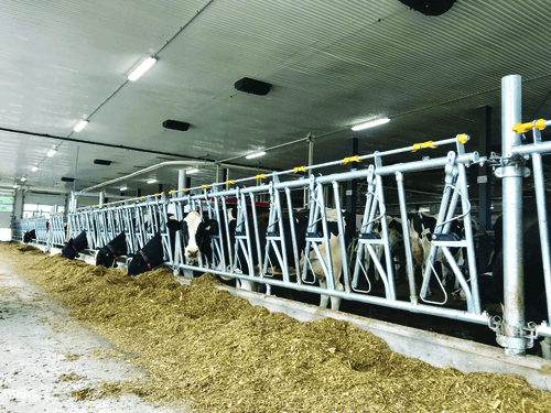 Matériel d'élevage - Cornadis - Cornadis Confort