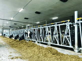 Matériel d'élevage - Cornadis - Cornadis Confort