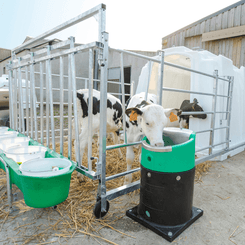 Abreuvement - Abreuvoirs et accessoires - Abreuvoir antigel électrique LAKCHO 2
