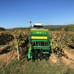 Semis - Semoirs direct - Semoir à vignes mécanique direct SNLVD