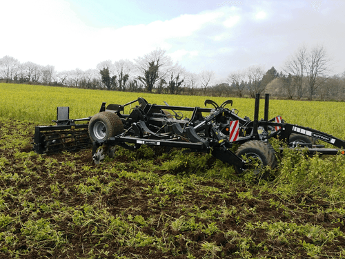 Travail du sol - Déchaumeur à dents - Déchaumeur à dents trainé ou porté BLACKBEAR