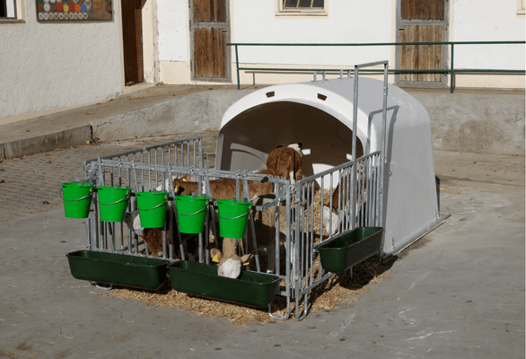 Matériel d'élevage - Cage, parc et couloir de contention - Niche à veau collective premium XL