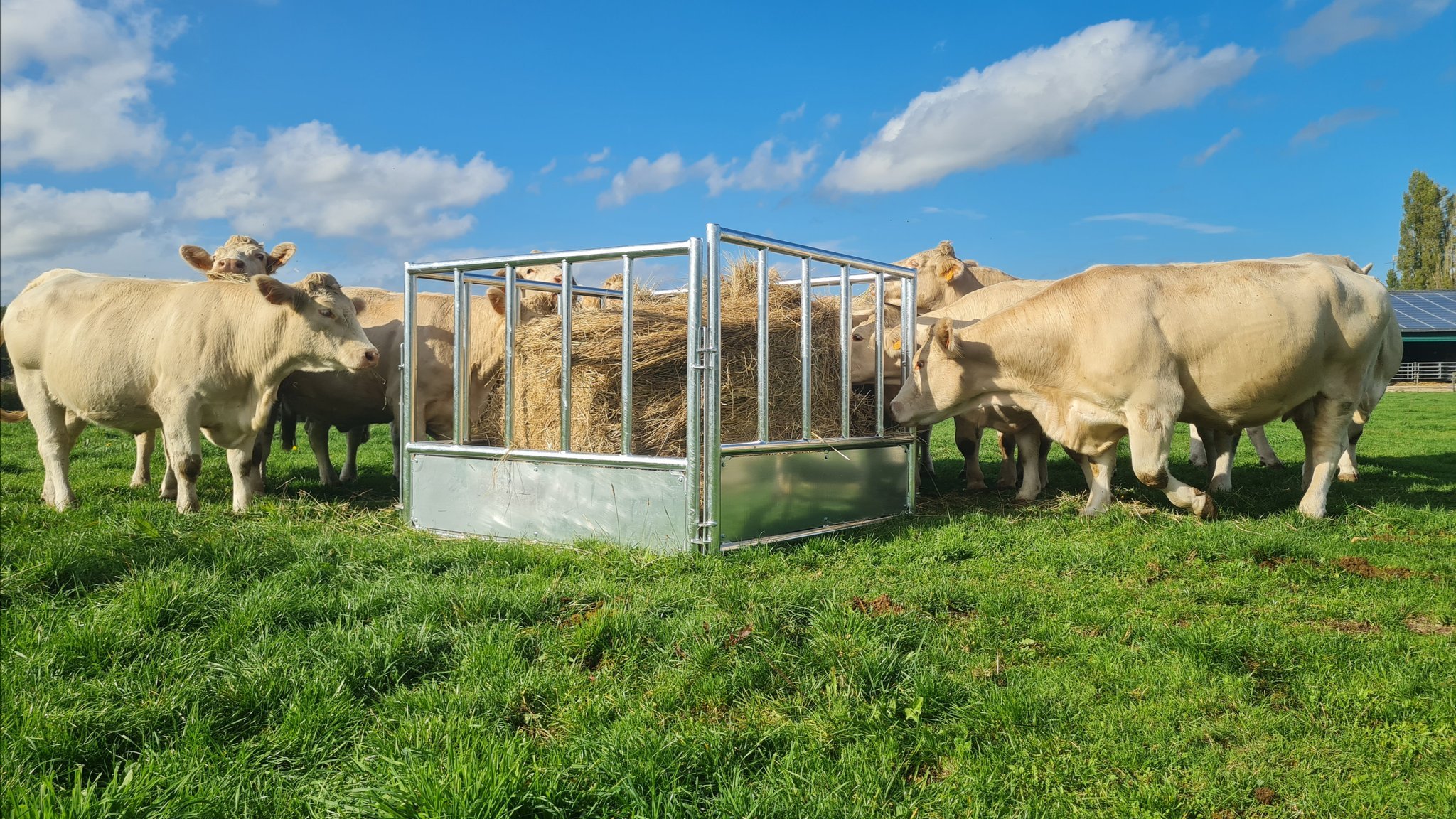 selfServiceShopPageImg1