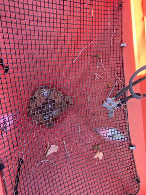 Distributeur d'engrais Kuhn MDS932